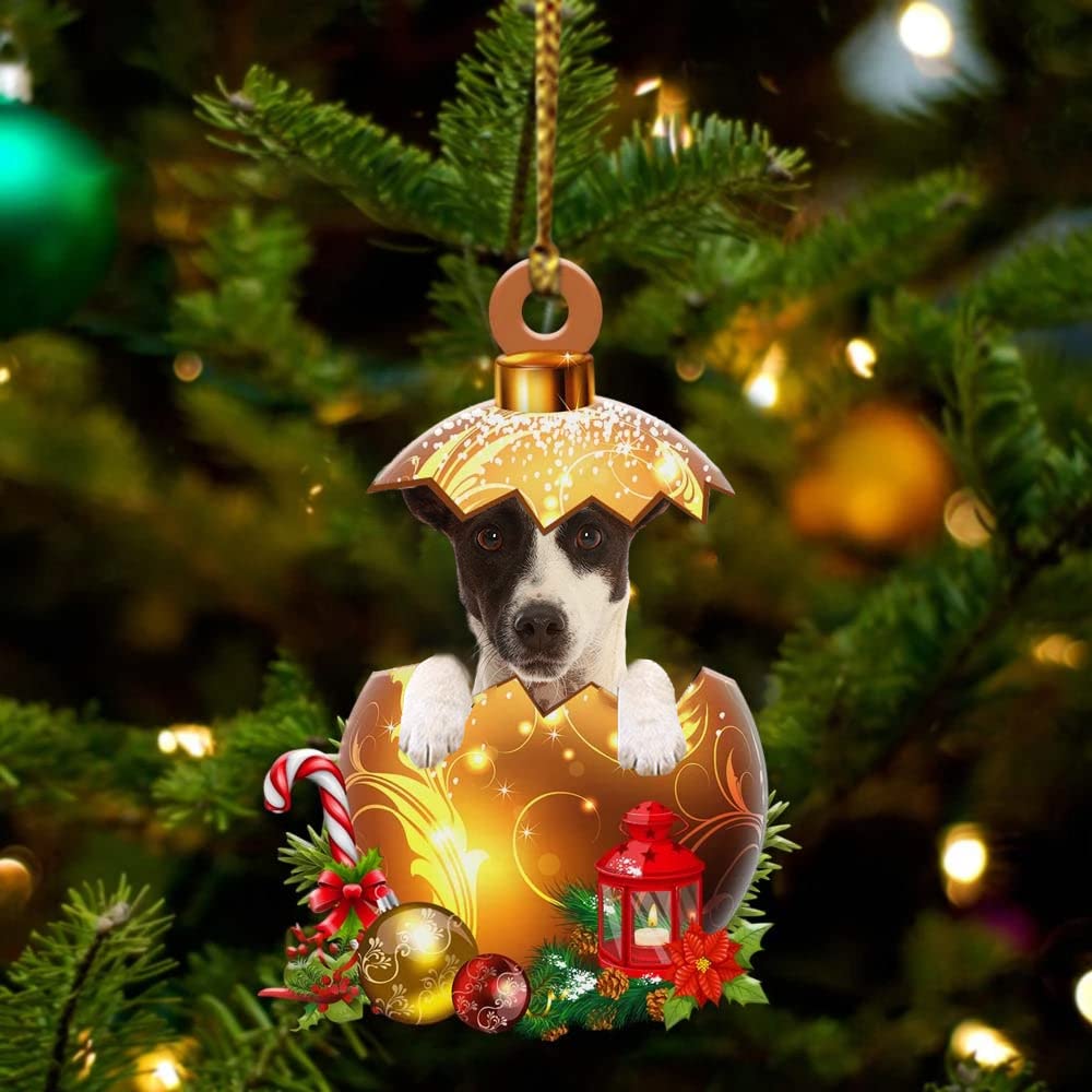 2D American Hairless Terrier Dog Plastic Ornaments, Christmas Decorations with Dog in Golden Egg Printed On Flat Acrylic Ornaments, Dog Christmas Ornaments Gift for Dog Lover