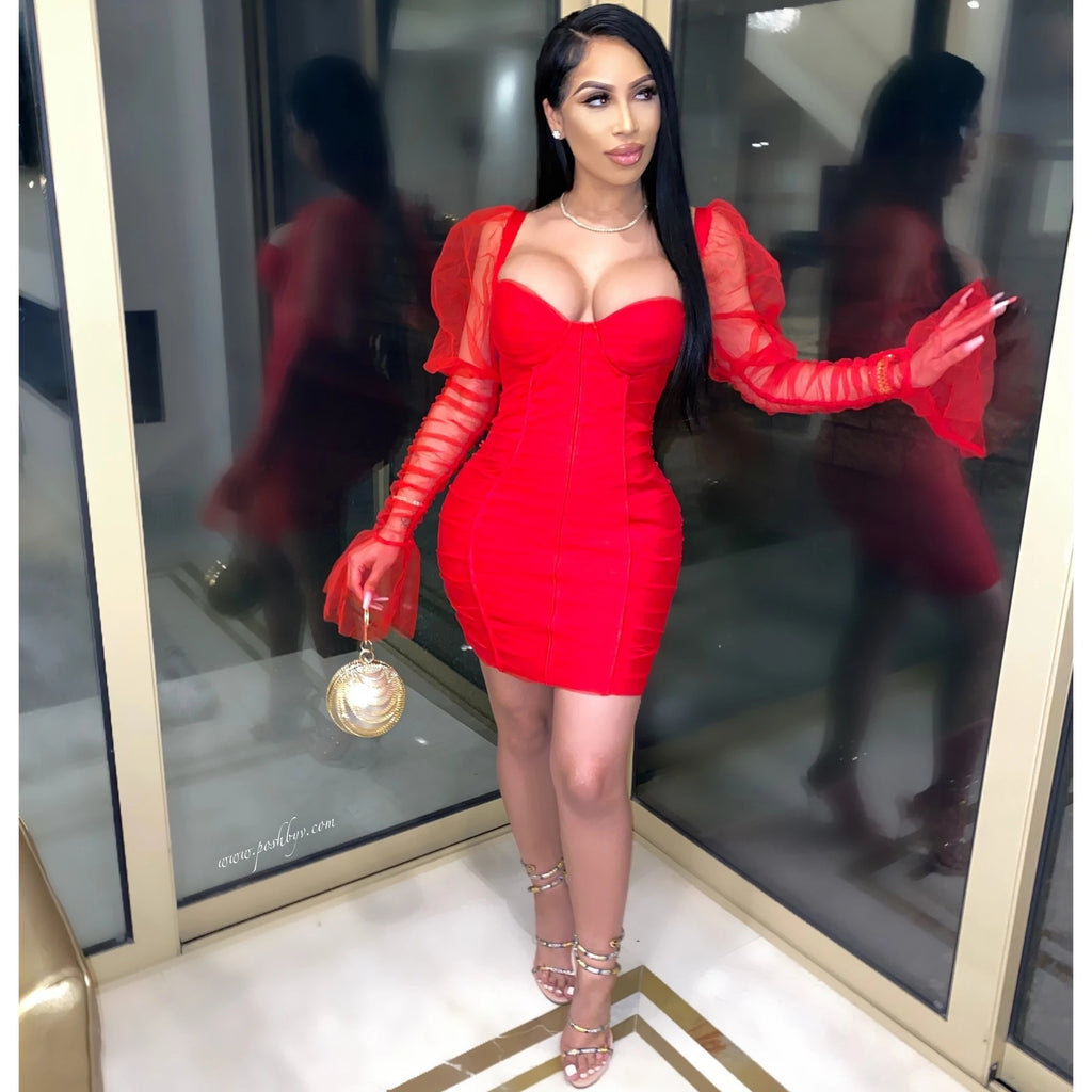 Women's Mesh Stitching Sexy Sheath Night Club Style Dress