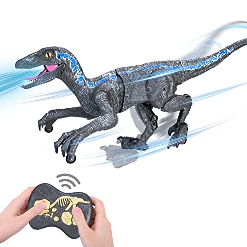 ZM21003 Remote Control Dinosaur Toys - (Rechargeable) 2.4Ghz RC Walking Robot Velociraptor with LED Eye, Roaring Sound, Shaking Head & Tail, Jurassic Dino Electronic Toys Gifts for Kids 5-9 Years Old