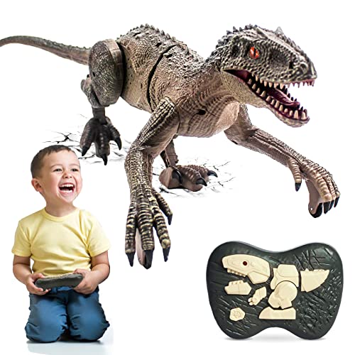 HANMUN Remote Control Dinosaur Toys - 2.4Ghz RC Walking Velociraptor Robot with LED Eye, Roaring Sound, Shaking Head & Tail, Jurassic Dino Gifts for Boys Kids 6-12 Years Old (Gray)