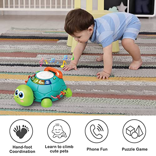 DBQ22001 Growinlove Baby Musical Crawling Turtle Toy, Multifunction Early Educational Music Toys with Drum and Pretend Phone, Baby Light Up Crawling Toys, Great Gifts for Baby Infants Toddlers Boys Girls