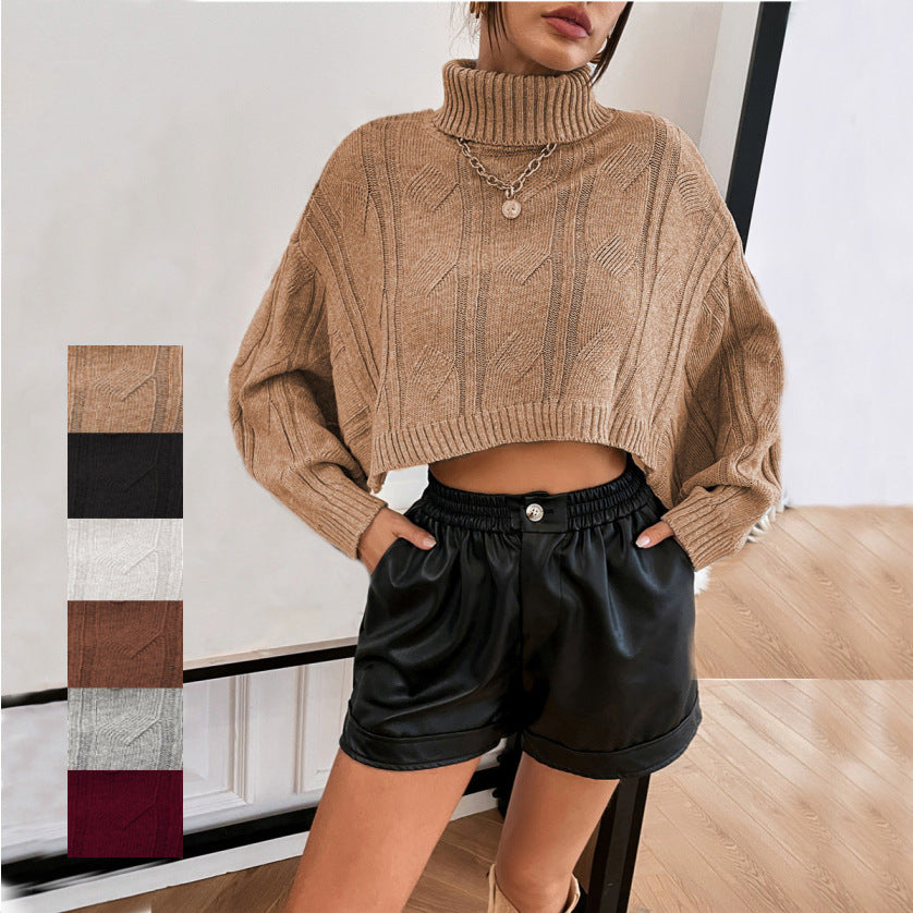 Women's Split Batwing Sleeve Cable-Knit Turtleneck Sweater